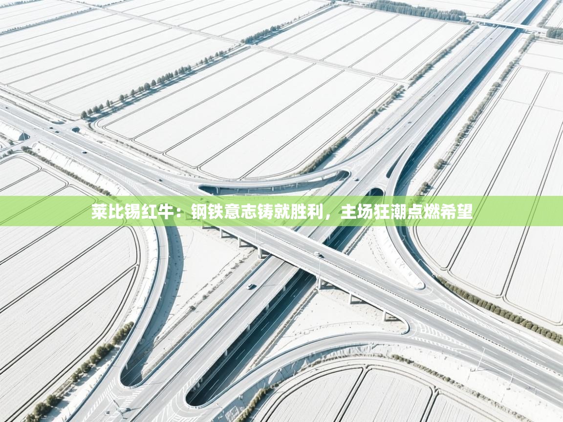 莱比锡红牛:钢铁意志铸就胜利,主场狂潮点燃希望 第2张