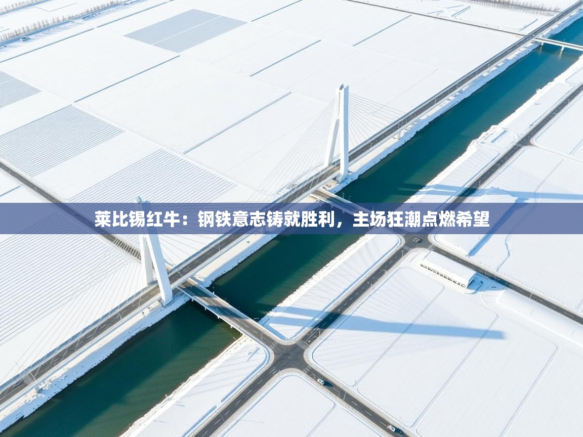 莱比锡红牛:钢铁意志铸就胜利,主场狂潮点燃希望 第1张