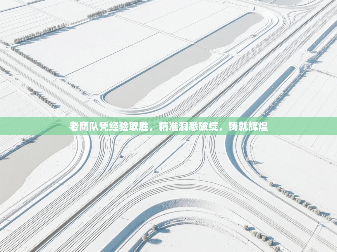 老鹰队凭经验取胜,精准洞悉破绽,铸就辉煌 第1张